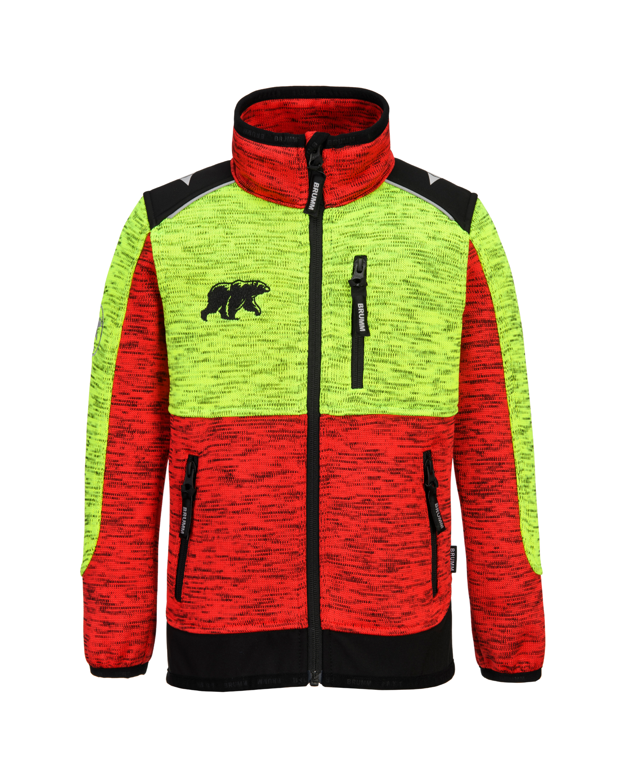 Beaver Forest Youngster