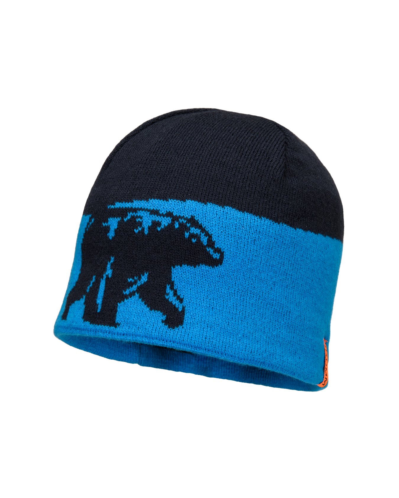 BRUMM Beanie